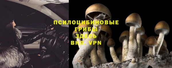 mdpv Няндома