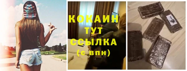 твердый Нягань
