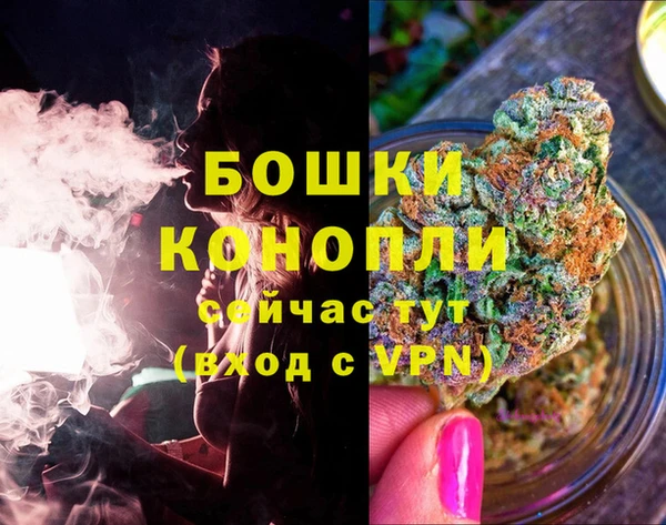 твердый Нягань