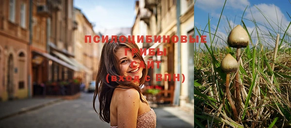 mdpv Няндома
