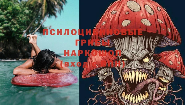 твердый Нягань