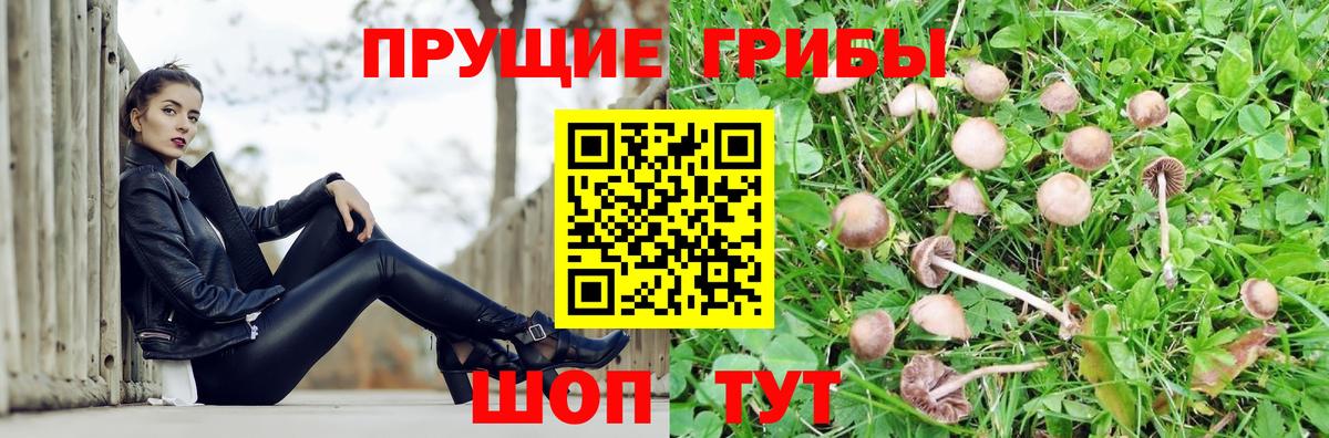 Галлюциногенные грибы MAGIC MUSHROOMS Санкт-Петербург